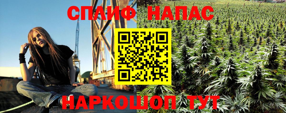 МАРИХУАНА SATIVA & INDICA  Вход с VPN  Марихуана SATIVA & INDICA  Мирный  Марихуана Amnesia 
